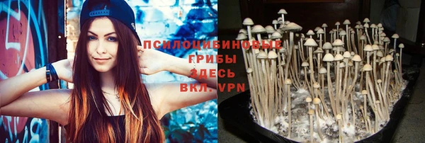 прущие крисы Иннополис